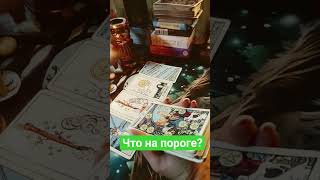 Запись на онлайн консультацию what 89518185107  #таро #тарологпроводник #таромастер #таролог