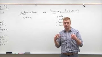 2015 MCAT Psychology (6) - Sensory Adaptation & Habituation