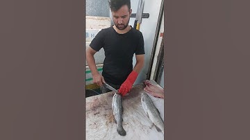 Filleting Trout with a Secret Technique Nobody Tells You!