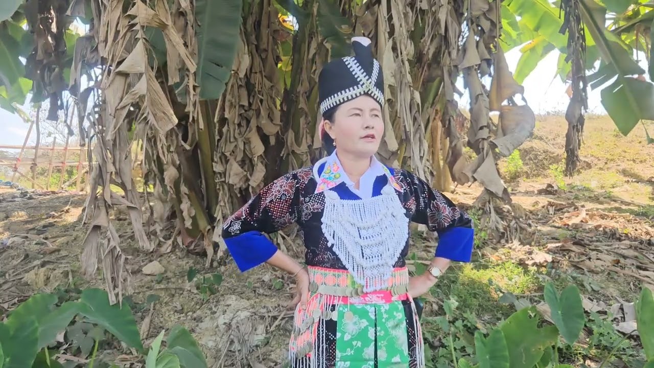 Txoj hmoov phem tu hai vwj hawj 22 2 . 2026