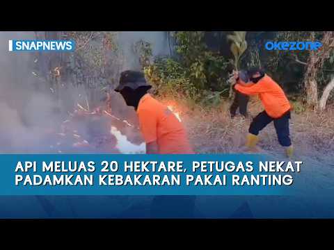 Api Meluas 20 Hektare, Petugas Nekat Padamkan Kebakaran Pakai Ranting | Snapnews