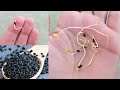 How to grow kalonji (Nigella seeds) at home