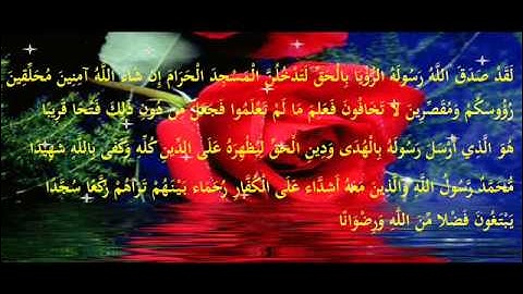 أبو إلياس الجزائري     ما تيسّر من سورة الفتح