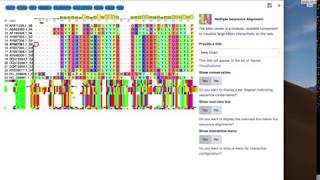 COVID-19 multiple sequence alignment of spike S-protein using Galaxy Profile