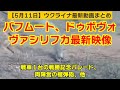 5月11日【ウクライナ映像】バフムート、ドゥボヴォ・ヴァシリフカ最新映像、縮小した戦勝記念パレード、FGM-148 ジャベリンチーム、他