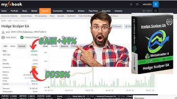 Hedge Scalper V24.2 EA MT4 | Dual-Side Precision Forex Robot