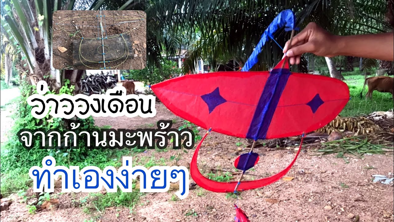 สอนวิธีทำว่าววงเดือนจากก้านมะพร้าวง่ายๆ!! | How to make crescent kite
