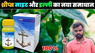 Basf Pirate New Insecticide  | मिर्च में थ्रिप्स माइट और इल्ली एक साथ खत्म 💯 screenshot 1