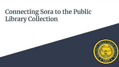 Connecting Sora to the Public Library Collection