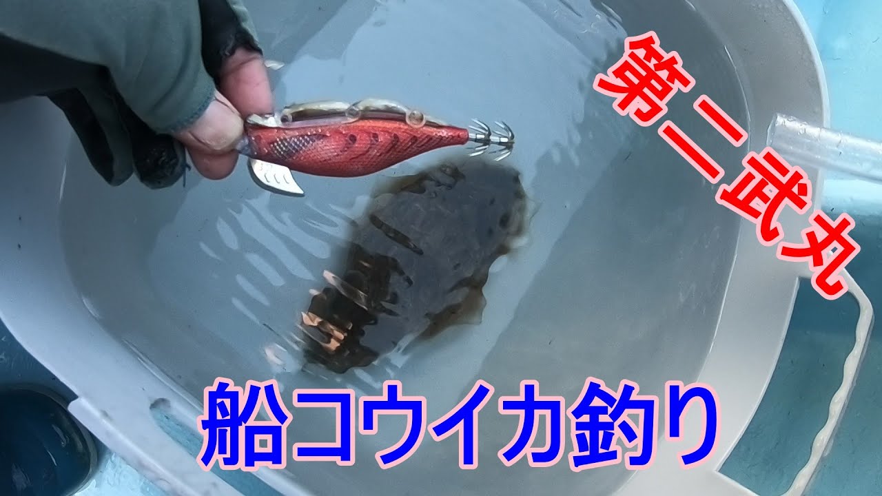 【2025 イカ釣りトレイル】船コウイカ釣りに行ってみた。