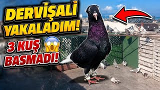 3 Kuş Basmadi Tutsaklar Var