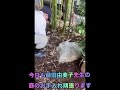 #ザ・パーティールーム#歌手小林隆#蒔田由美子#Yumiko Makita#想いで日記 #japanese singer#DYエンターテイメント#蒔田大助#炎のマーク