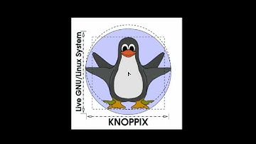 Knoppix 6.5.0 on a FlashPC (HD)