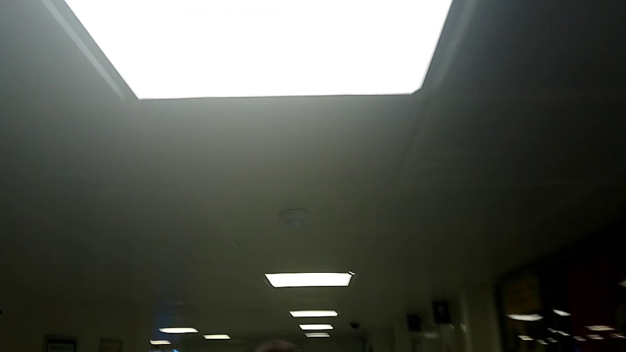 Fire alarm at my college second time college YouTube