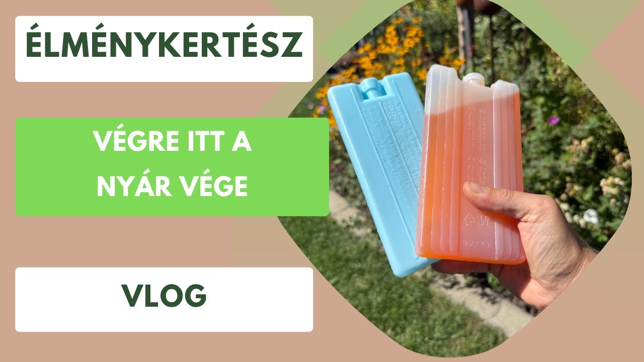 Milyen volt az idei forró nyár a kertben?⛱️