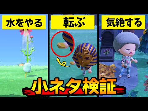【あつ森】花火大会の新家具でいろんな検証をしてみたら思わぬ結果に！夏の最新アプデが面白すぎる!!【あつまれ どうぶつの森】【ぽんすけ】