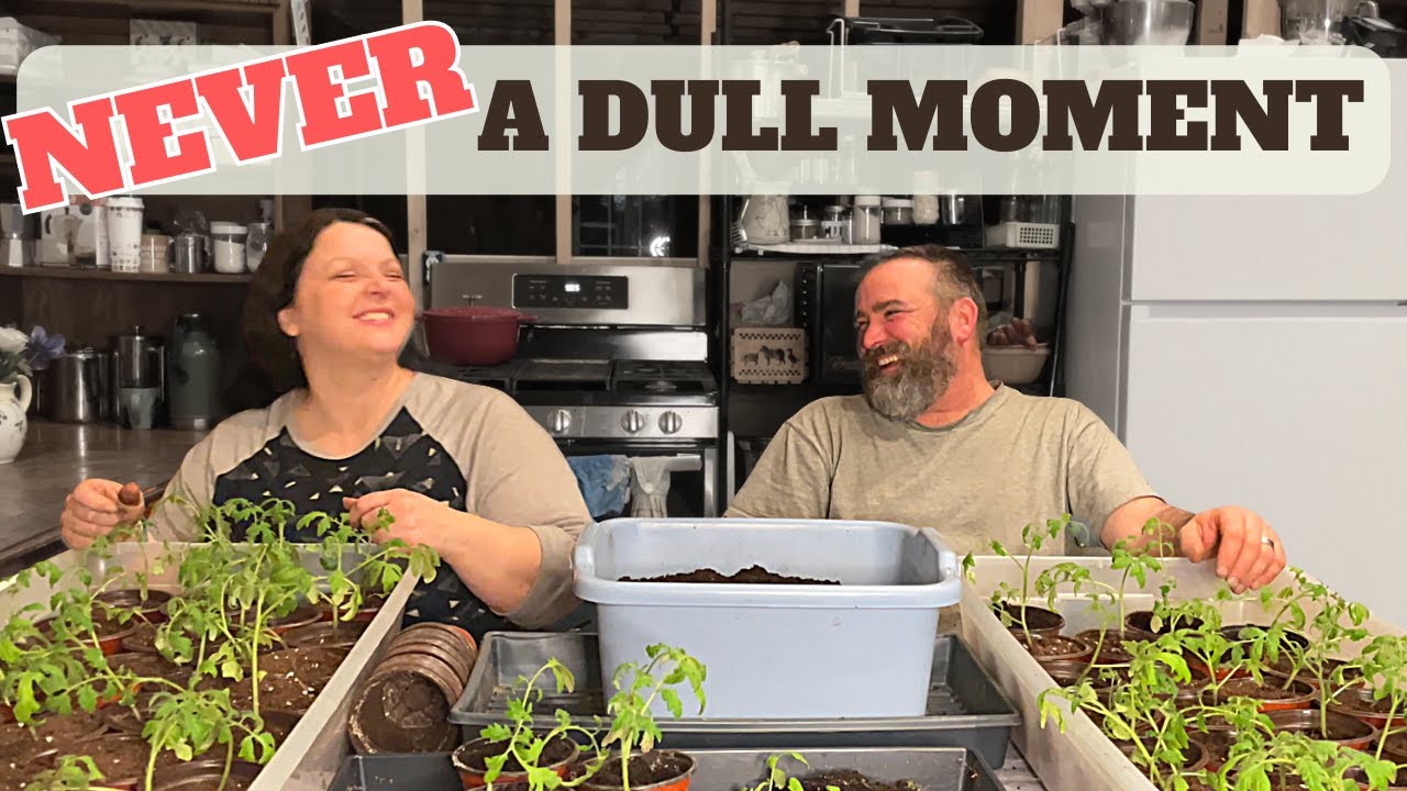 Жизнь в домике на Аляске. На Аляске нам приходится сажать семена ОЧЕНЬ РАНО.