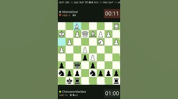 Brilliant Checkmate