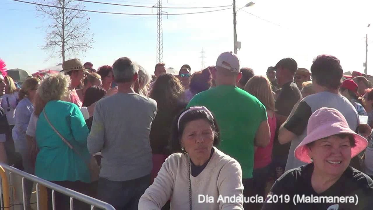 Concierto MALAMANERA en Tocina - 28 de Febrero 2019