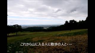 ある日の午後