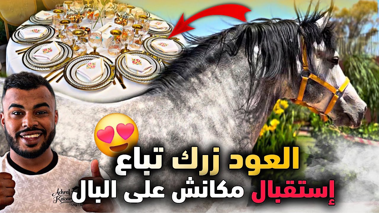 🚨 خـبـار زيـنة 😍 لعود لزرك تباع وغاذي يبقى معانا فالسربة … وشوفوا زردة لردت لزرك كيدازت 🔥😱..