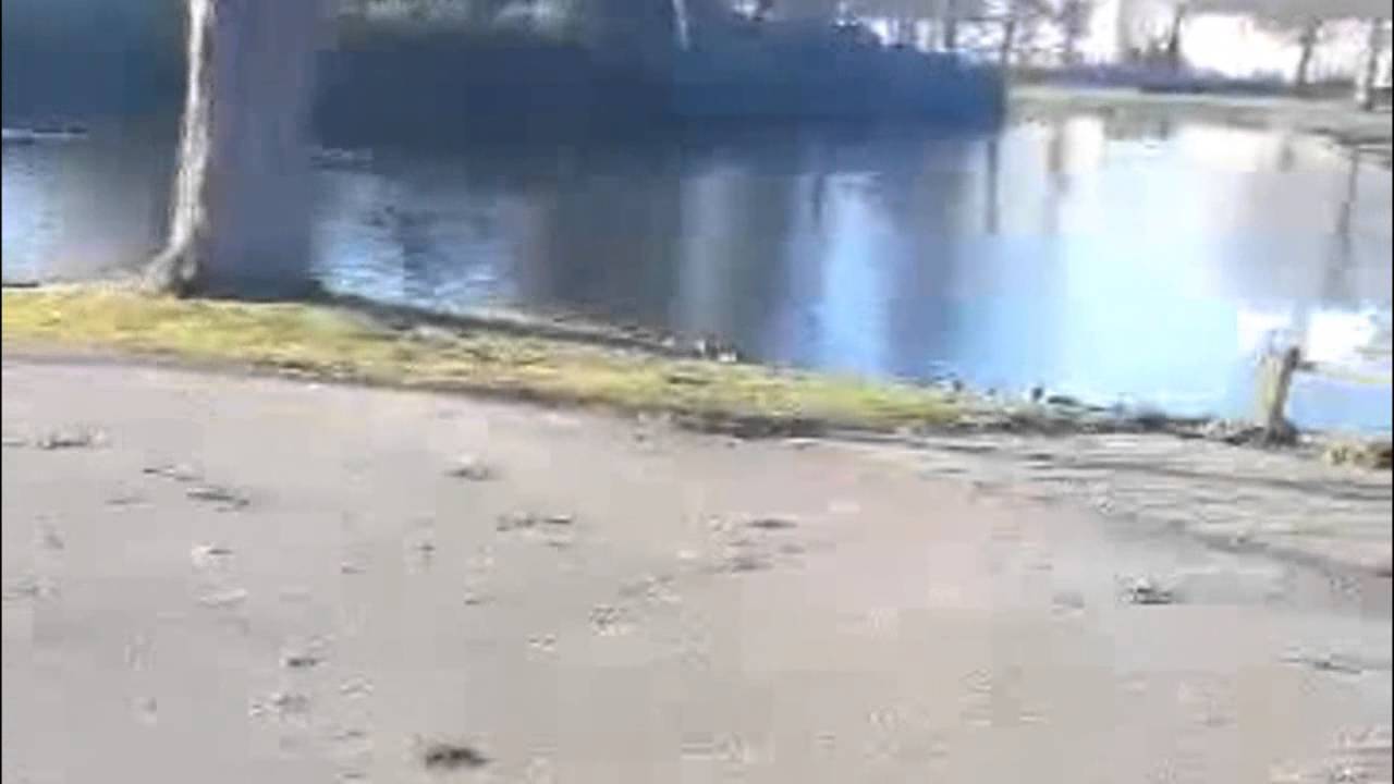 Herinnering aan Holland - H. Marsman