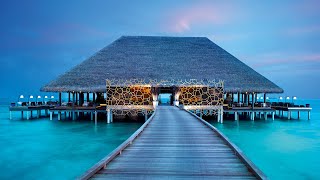 Aragu Signature Restaurant | Velaa Private Island Maldives