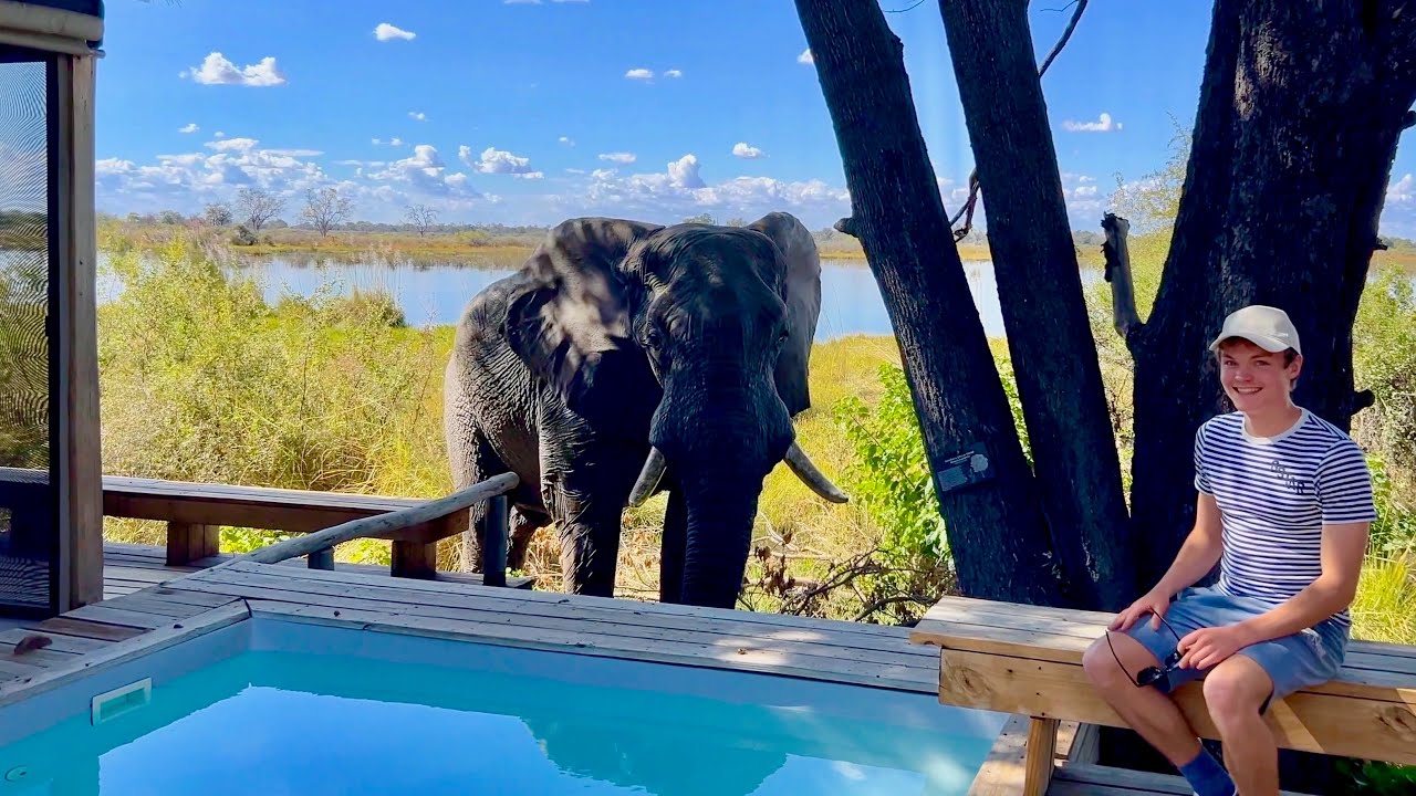 WILDERNESS VUMBURA PLAINS | 5-star luxury in Botswana's Okavango Delta (lodge tour & safari