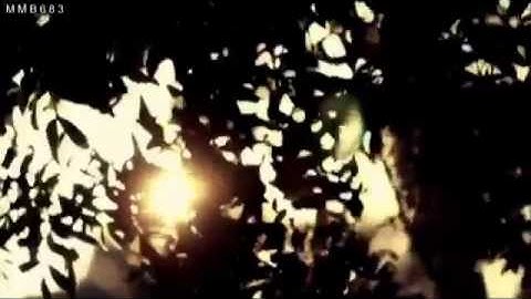 أثر الأذكار | الشيخ محمد بن محمد المختار الشنقيطي