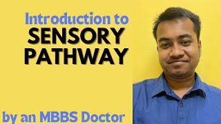What is Sensory Pathway || Neurophysiology