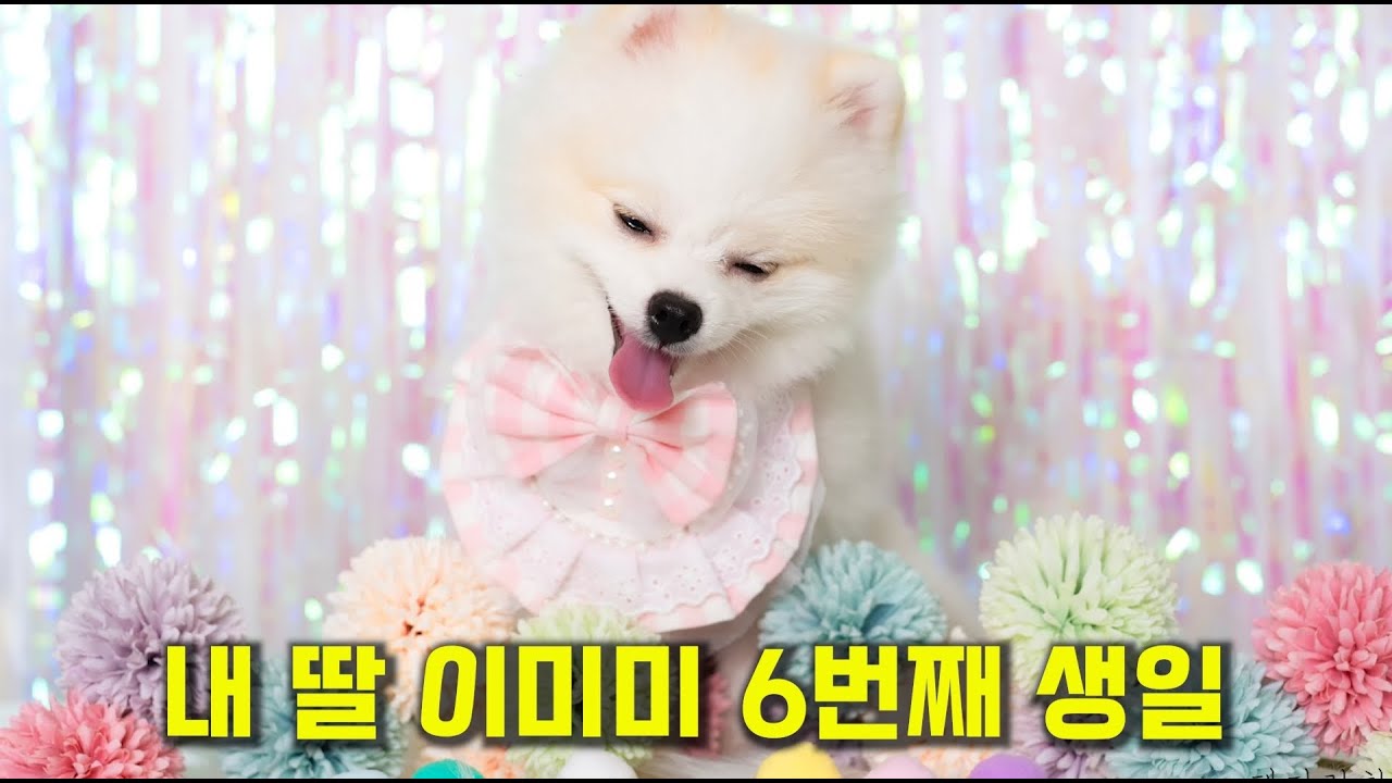 내 딸 이미미의 여섯번째 생일 / 저녁 소통 라이브 방송