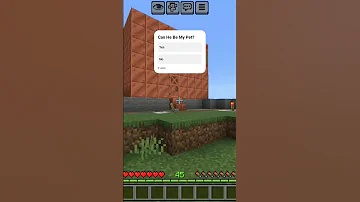 Just One Pet Guys ONE 