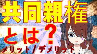 【共同親権】メリット・デメリット解説🌟知っているだけでも得をする！欲張めろんの世界のC級ニュース