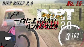 「DiRT Rally 2.0」15