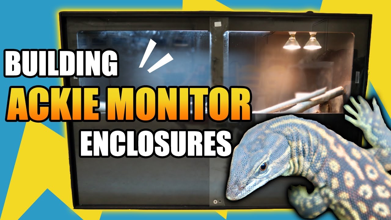 Building Two Ackie Monitor Enclosures! Animal Plastics Enclosures