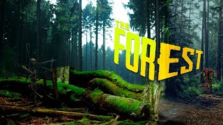 The Forest 