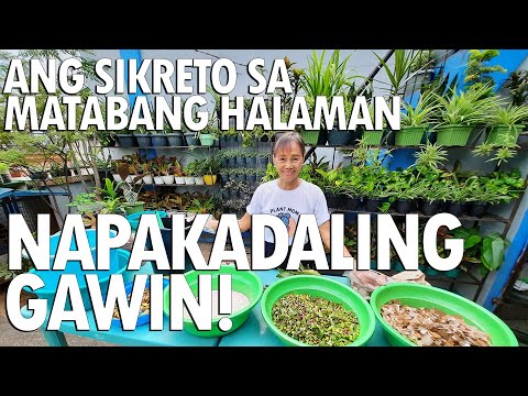 Video: Ang compost ba ay isang pataba o susog sa lupa?