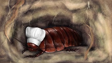 The World According to Cockroach