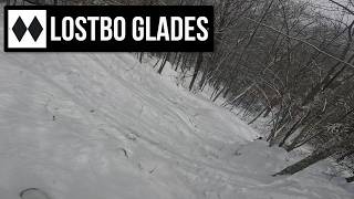 Lostbo Glades - Black Mountain Nh - Double Black Diamond