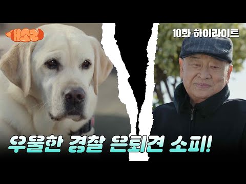 [개소리/Dog <strong>Knows</strong> Everything] | <strong>KBS</strong> 241024 방송