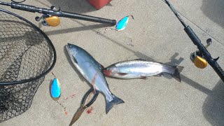 kokanee rod and reel combo