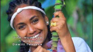 '2016 Oromo Music' Habtamu Lamu - Wallagga Daawwanna Beautiful Oromia greenland