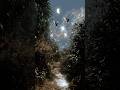 track: time to let go-go #ambientmusic #dream #nightmusic #calmmusic