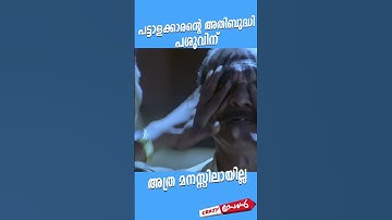 #MovieReels പട്ടാളക്കാരന്റെ അതിബുദ്ധി പശുവിന് അത്ര മനസ്സിലായില്ല