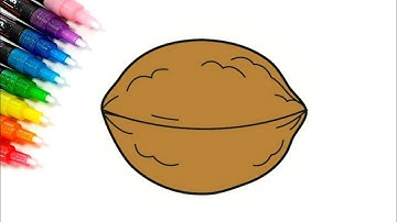 How To Draw a Walnut easy | Nuts Drawing #1
