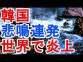 韓国　悲鳴連発　世界で炎上