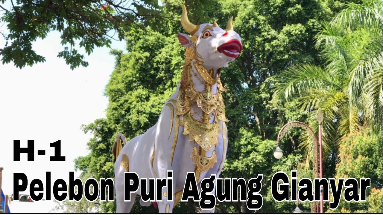 H-1 Menjelang Pelebon Puri Agung Gianyar,Persiapan Lembu Setinggi 5 meter Dengan Berat 600 kg