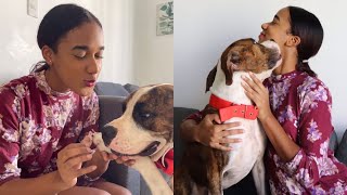 Insólito Chica Entrá En Relación Con Un Perro Y Saco De Su Vida A Su Esposo