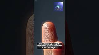 Miracle of Fingerprints Quran’s Revelation and Modern Science Uncovered!