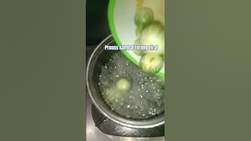 Thumbnail of proses sambal terong viral #masakanrumahan #bumburasarumahan